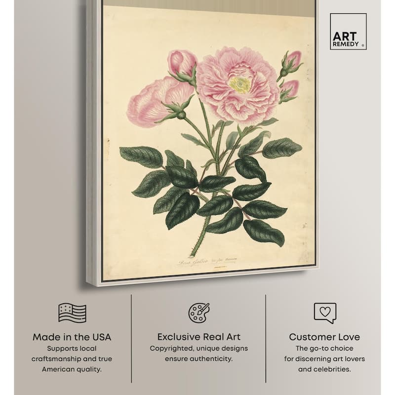 French Rose Canvas by Art Remedy