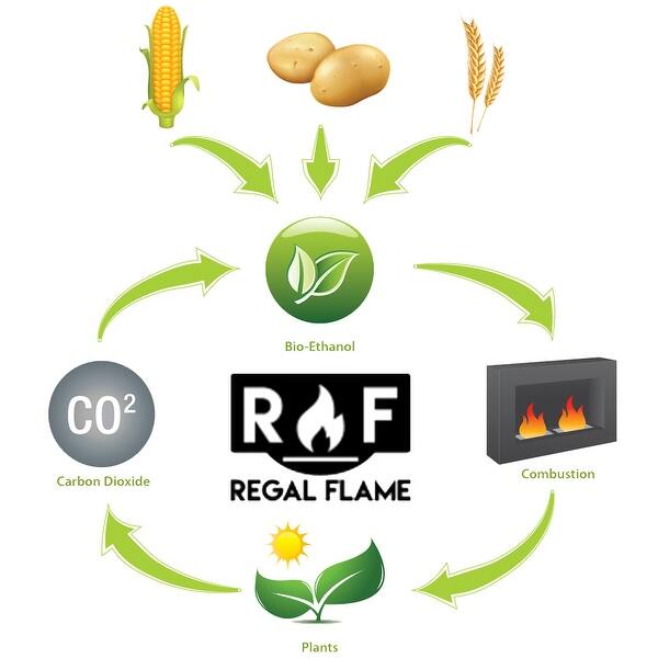 Shop Regal Flame Premium Ventless Bio Ethanol Fireplace Fuel 1