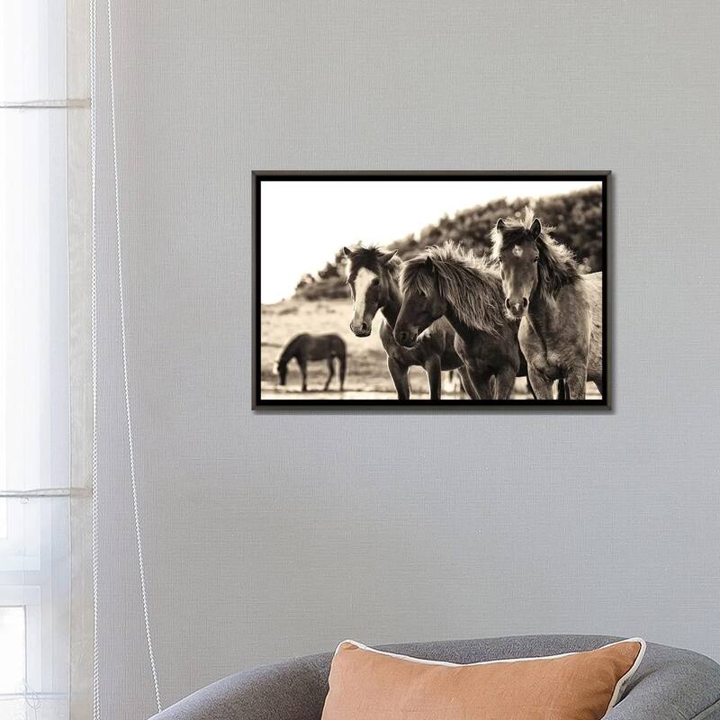 iCanvas "Horses Three Sepia" by Aledanda Framed