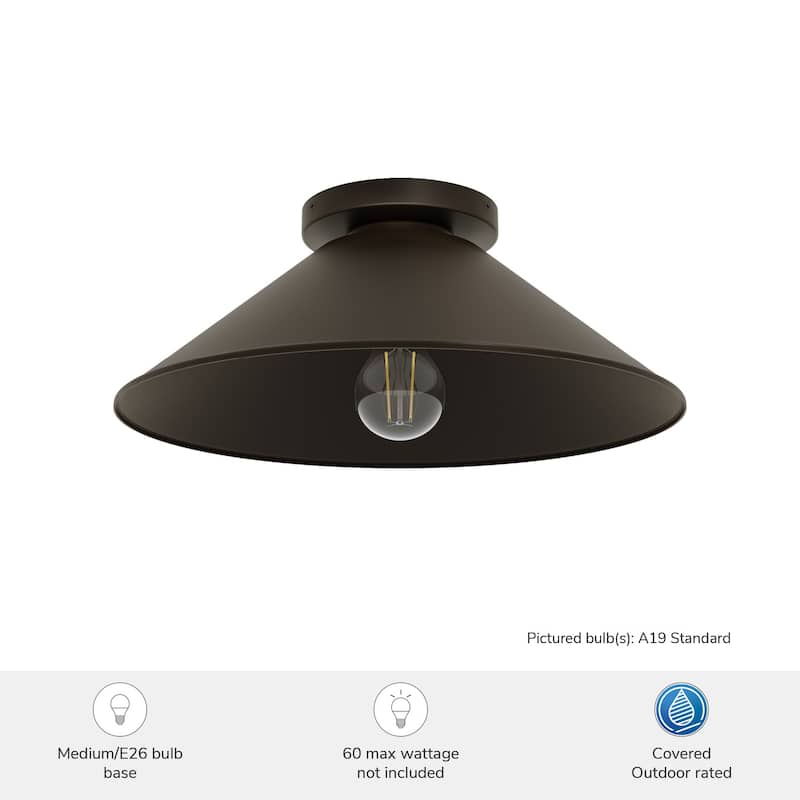 Hunter Skyflow Outdoor 1-Light 14" Flush Mount Ceiling Light - Transitional, Modern Rustic - Wet-Rated!