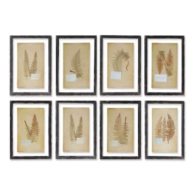 Framed Vintage Fern Prints, Set Of 8