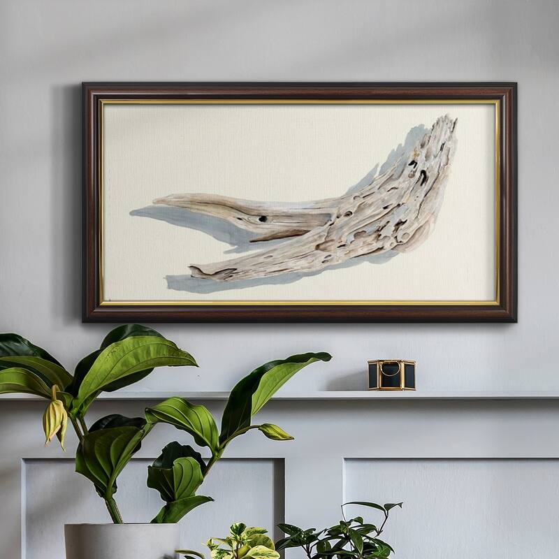 Driftwood Study III Premium Framed Canvas- Ready to Hang