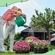 preview thumbnail 1 of 17, Galvanized Raised Garden Bed with Tomato Cages, Metal Planter Box