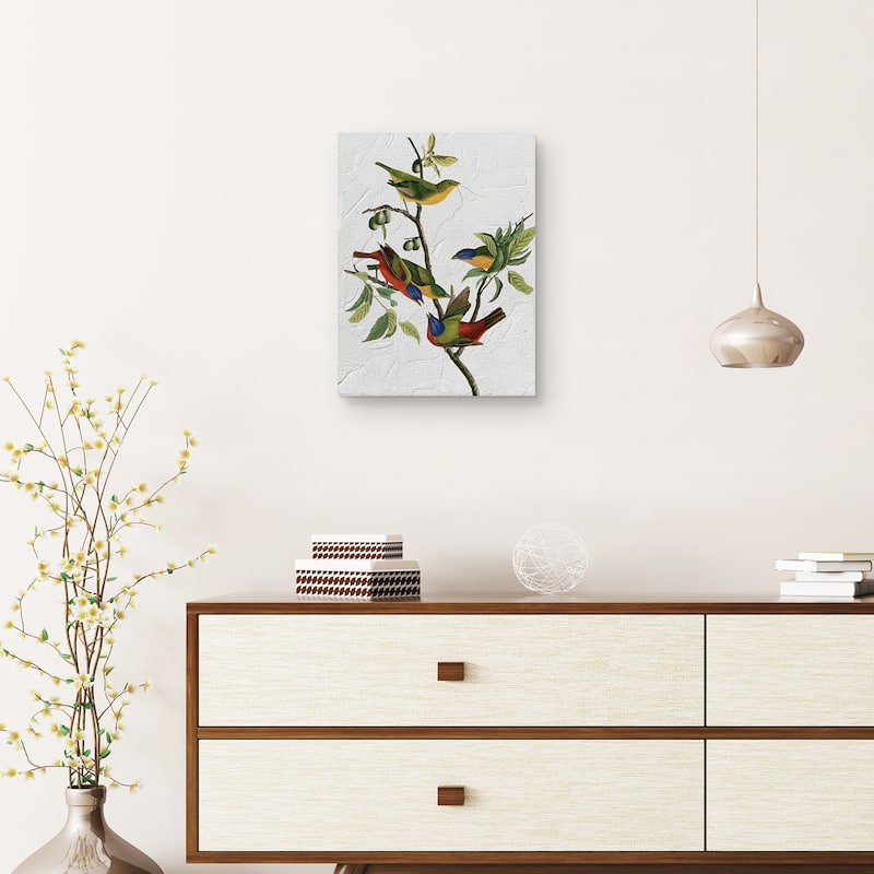 Audubon Painted Finch Texture Canvas Art Print