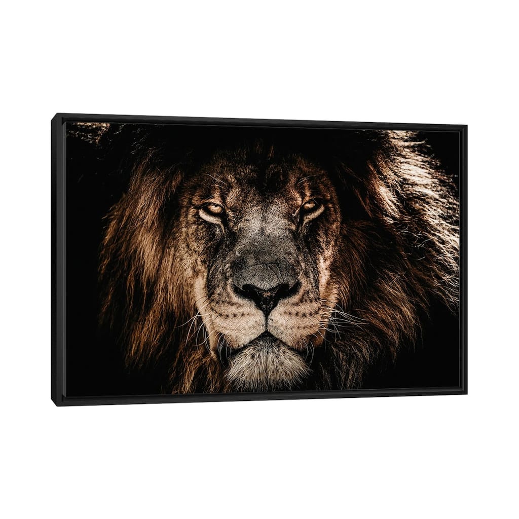 iCanvas "Lion Straight Stare" by Adrian Vieriu Framed
