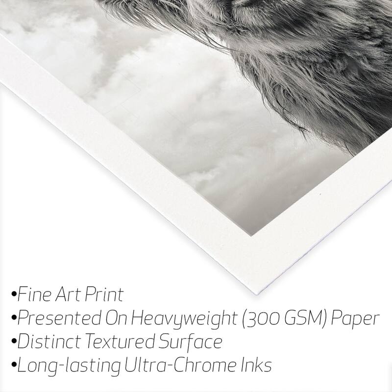Funny Girl Fine Art Paper Print by Mark Gemmell - Multi - 24x24
