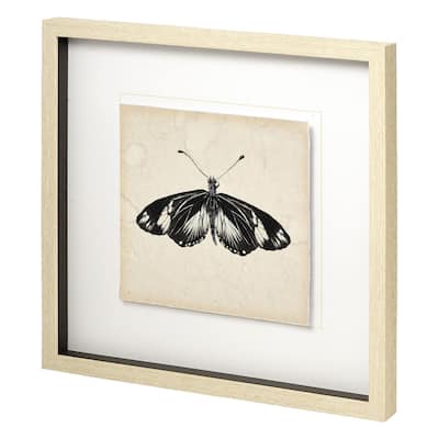 Butterfly Study VI Framed Art Print