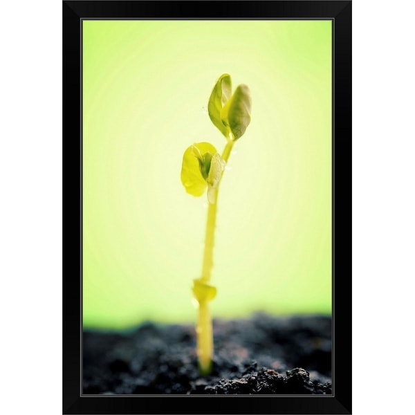 "New life" Black Framed Print