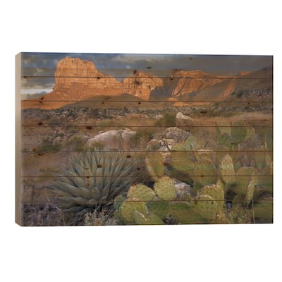 Opuntia Cactus And Agave, Guadalupe Mountains National Park, Chihuahuan Desert,Texas Print On Wood by Tim Fitzharris