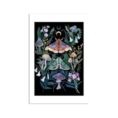 Sphinx Moth Fine Art Paper Print by Clara McAllister - Multi
