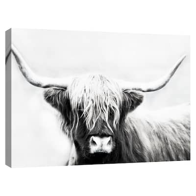 Highland Longhorn by Danita Delimont Canvas Art Print
