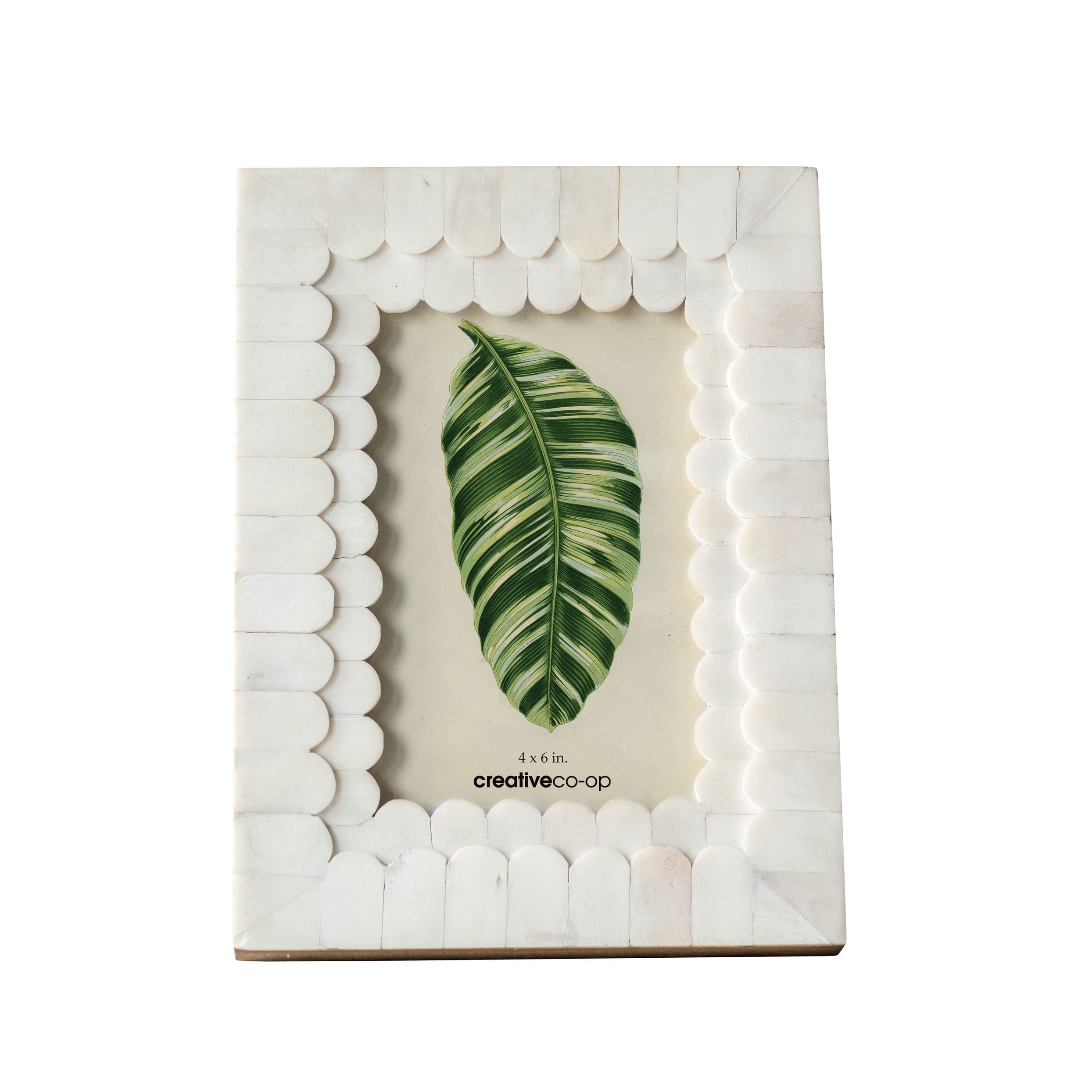 Scalloped Bone & Wood Photo Frame