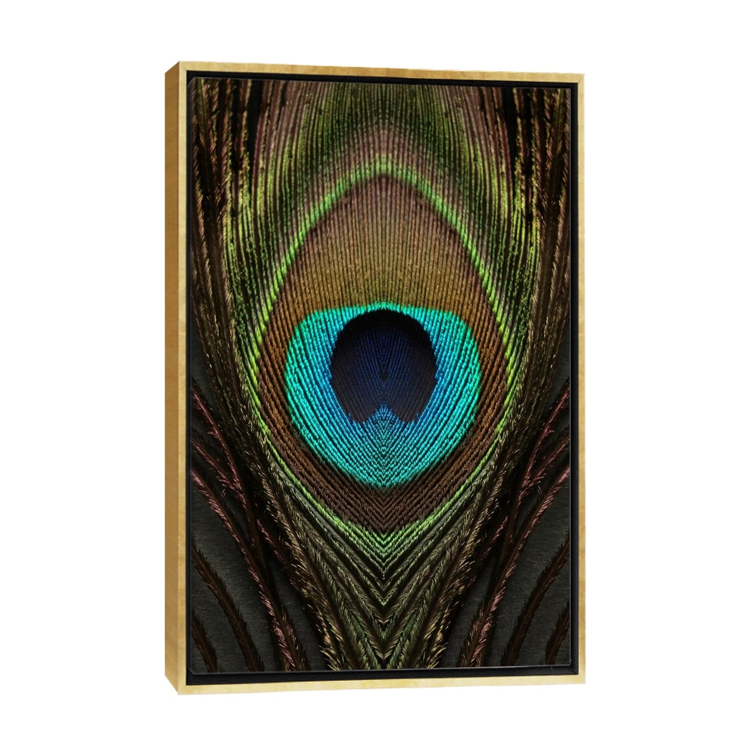 Framed Canvas Art (Gold Floating Frame) - Peacock Feather Symmetry I by Alyson Fennell ( Decorative Elements > Feathers art) - 40x26 in