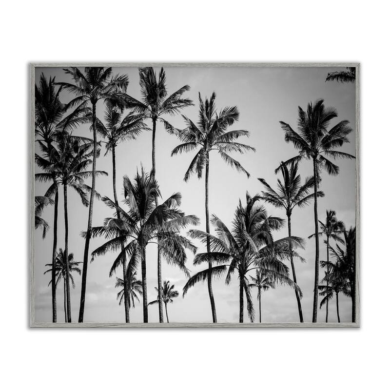 Stupell Palm Trees Skyline Black and White Photography Framed Giclee Texturized Art by Design Fabrikken - 24 x 30 - Grey