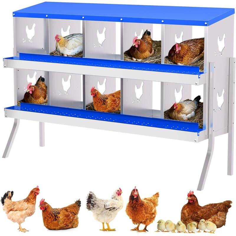 10 Compartment Metal Chicken Nesting Box, Laying Box for Hens Ducks Rabbits, Blue - Blue with Legs