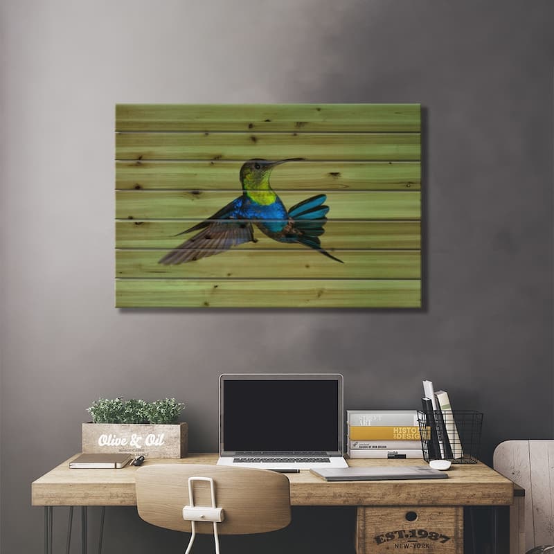 Violet-Crowned Woodnymph Hummingbird Male Flying, Costa Rica Print On Wood by Steve Gettle - Multi-Color