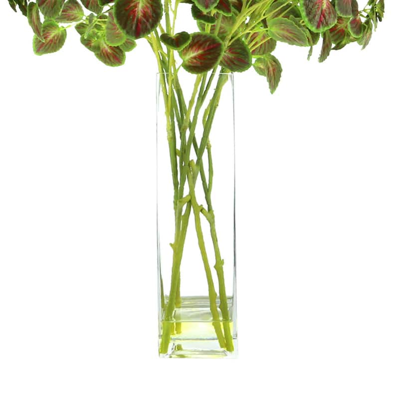 Organic Modern Mint Leaves Arranged in a Clear Glass Vase - Green