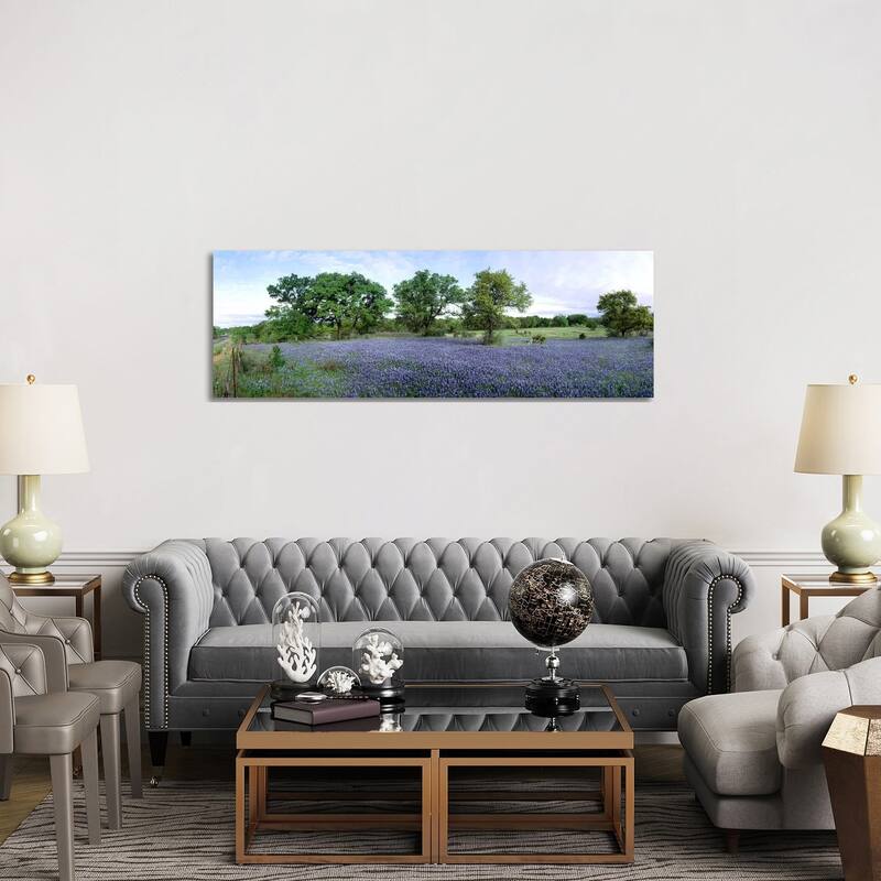 iCanvas "Field Of Bluebonnets, Hill County, Texas, USA" by Panoramic Images Canvas Print