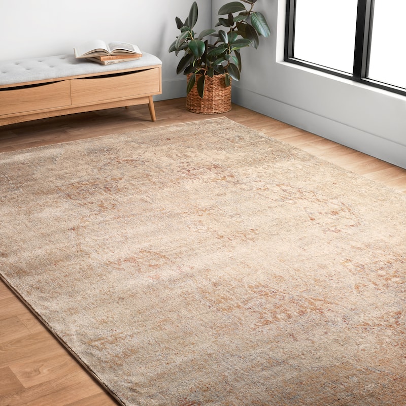Alexander Home Contessa Traditional Medallion Desert Distressed Rug - 5'3" x 7'8" - Desert - Runner/Rectangle