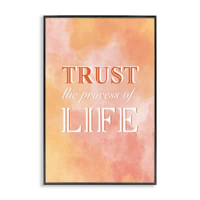Stupell Trust The Process Of Life Framed Giclee Art Design By Martina Pavlova