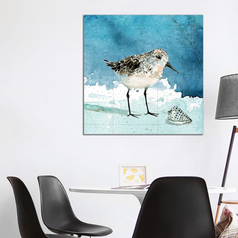 iCanvas "Bay Shore Sandpiper I" by Carol Robinson Canvas Print - 37x37x1.5