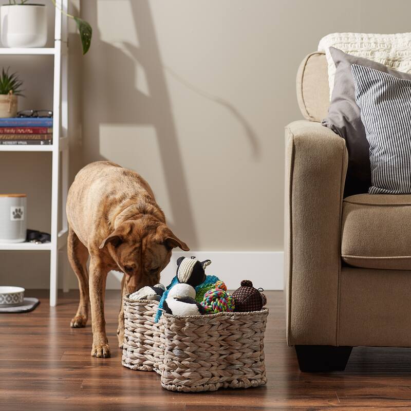 Bone Dry White Wash Hyacinth Bone Pet Basket Large 24x15x9