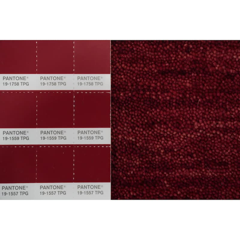 Hand Knotted Oriental 100% Wool Carpet Tribal Animal Pictorial Red Gabbeh Area Rug - 11' 7'' X 7' 11''
