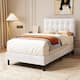 Option White