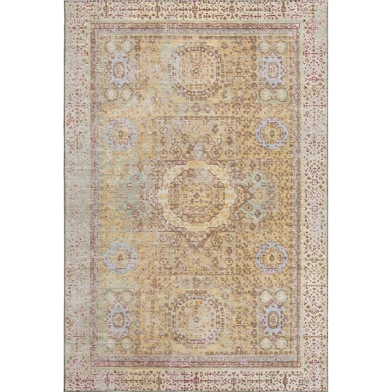 Premium Washable Super Soft Vintage Traditional Mayfield Rug