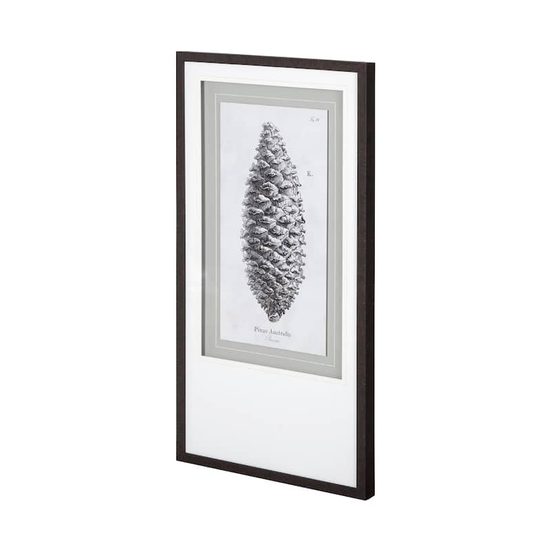 Pinus Australis Framed Art Print