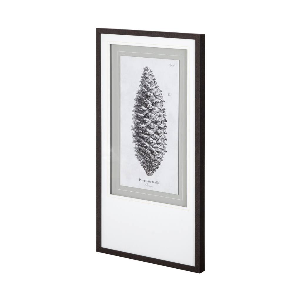 Pinus Australis Framed Art Print