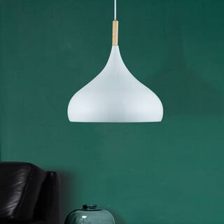 Modern 1 Light Indoor Pendant White Finish