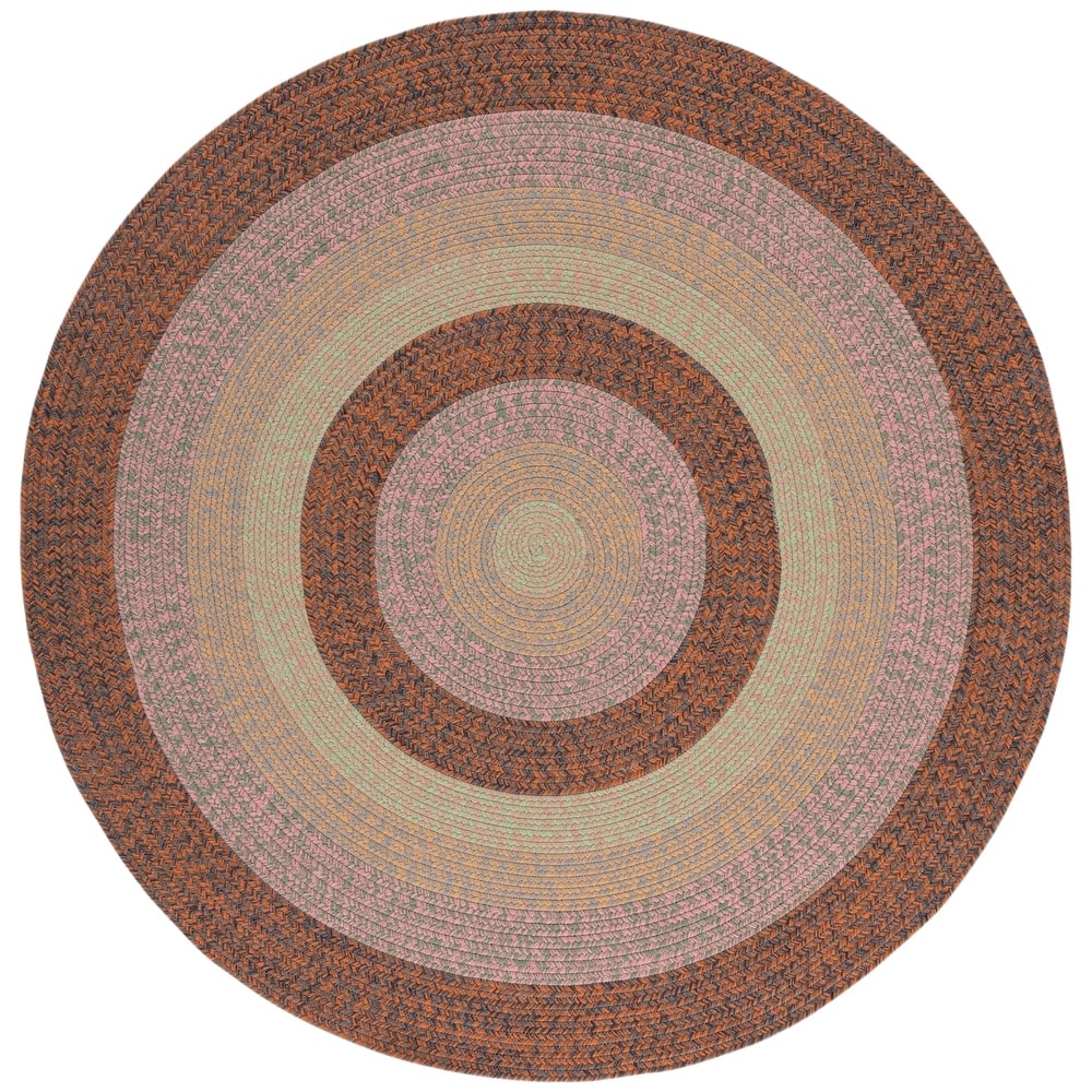 SAFAVIEH Handmade Braided Rosete Indoor/Outdoor Machine Washable Rug