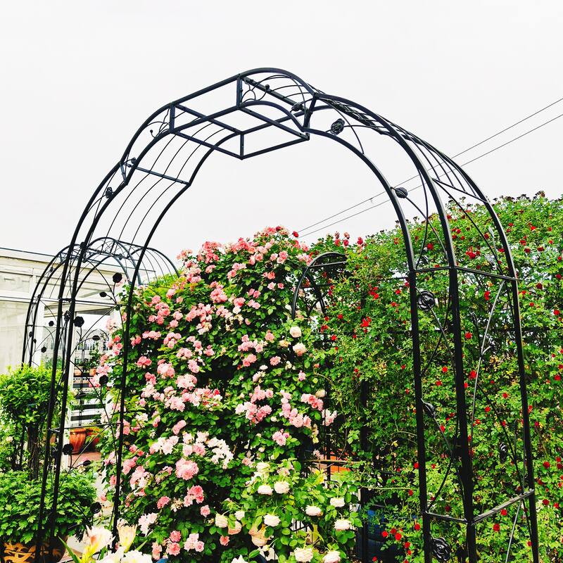 Anmytek Metal Garden Arch with Intricate Scrollwork, Weather Resistant Black Finish, Climbing Plant Trellis for Roses, Clematis