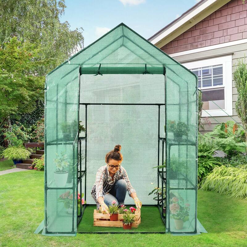 Gymax Walk-in Greenhouse 56''x56''x77'' Gardening w/Observation - See Details
