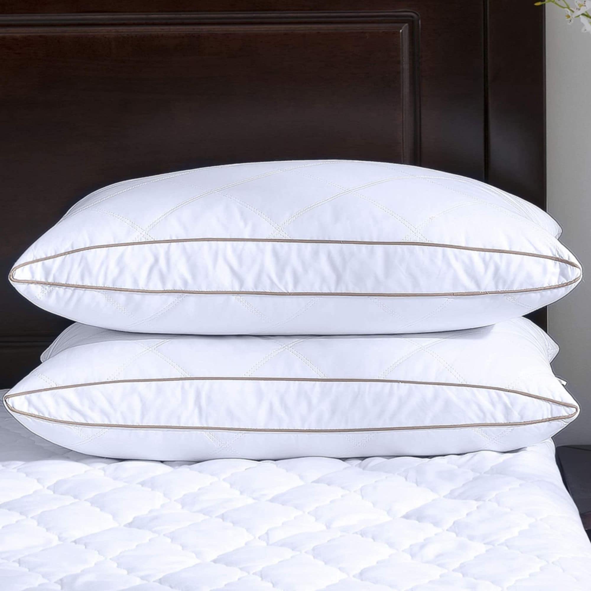 https://ak1.ostkcdn.com/images/products/is/images/direct/1b03073e3ad7a7d32457e510b6068c954c91d4d0/2-Pack-Quilted-Gusseted-Feather-and-Down-Pillows.jpg