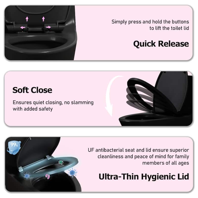 Matte Black One-Piece Toilet