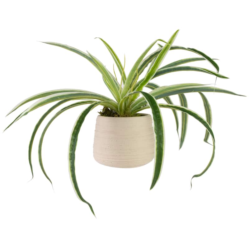 Artificial Spider Plant in Beige Ceramic Pot - 20"