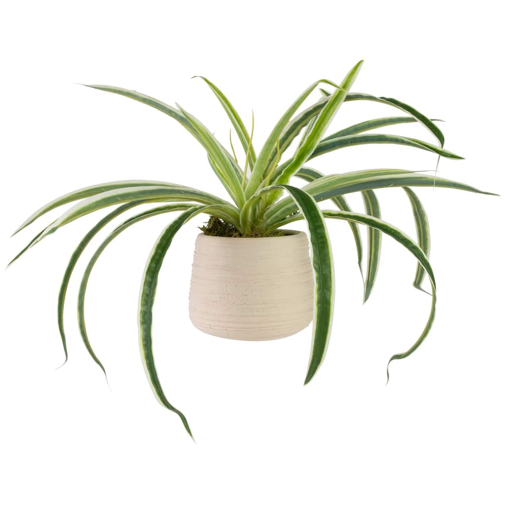 Artificial Spider Plant in Beige Ceramic Pot - 20"