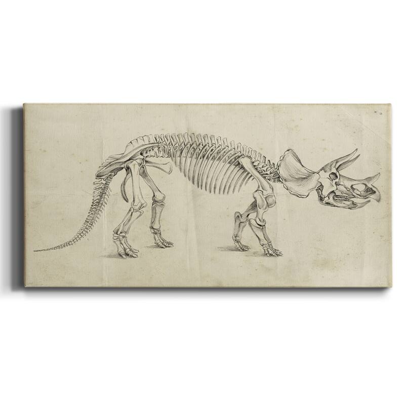 Dinosaur Study II- Premium Gallery Wrapped Canvas - Ready to Hang - 12x24