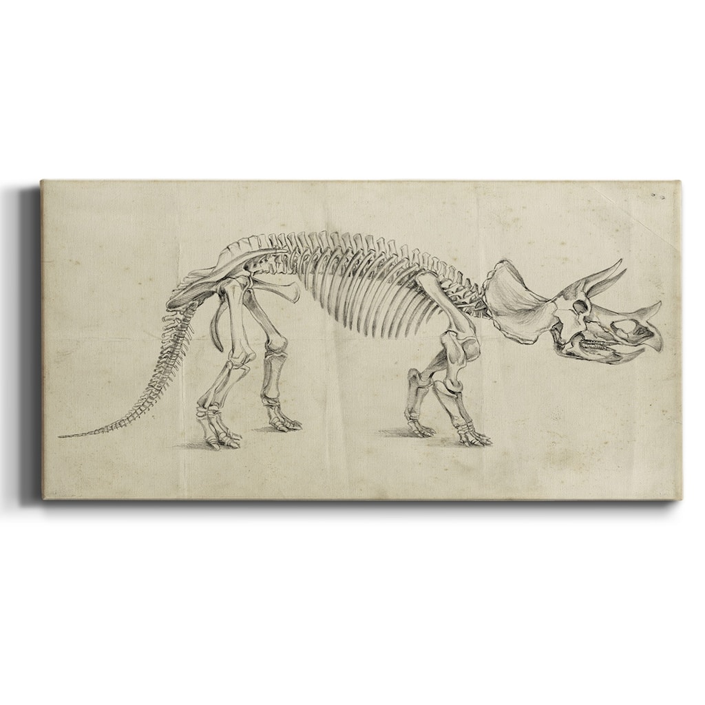 Dinosaur Study II- Premium Gallery Wrapped Canvas - Ready to Hang