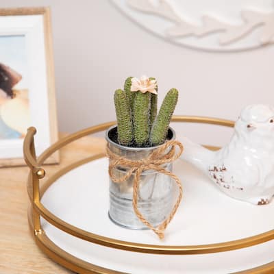 6" Silver and Green Artificial Mini Faux Cactus in Planter Twine Bow