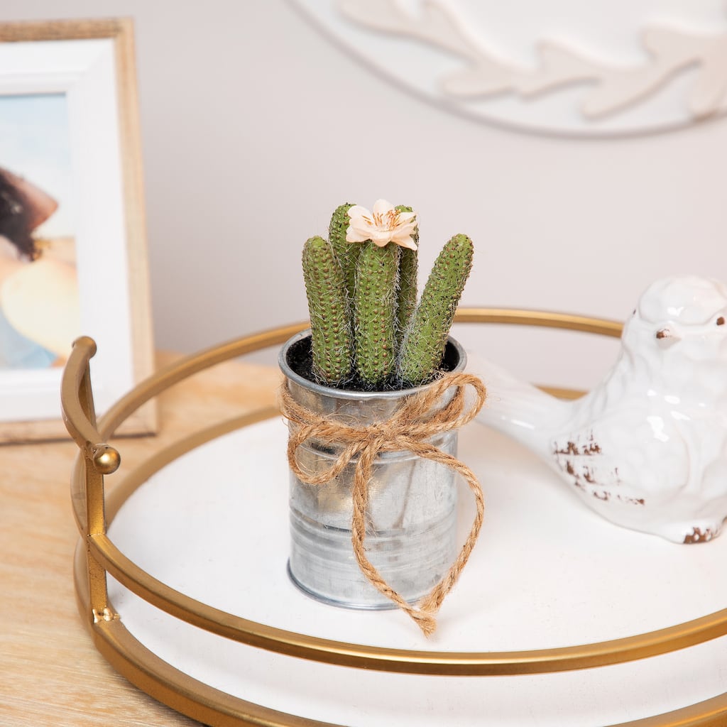 6" Silver and Green Artificial Mini Faux Cactus in Planter Twine Bow