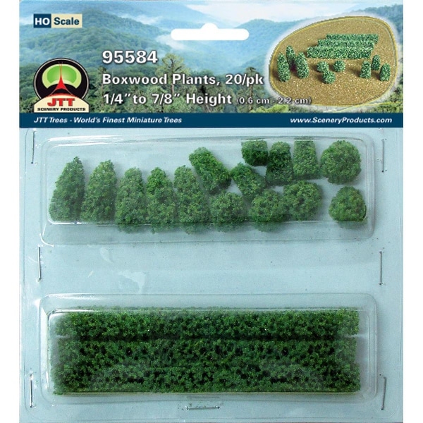 Boxwood Plants .875" 20/Pkg-