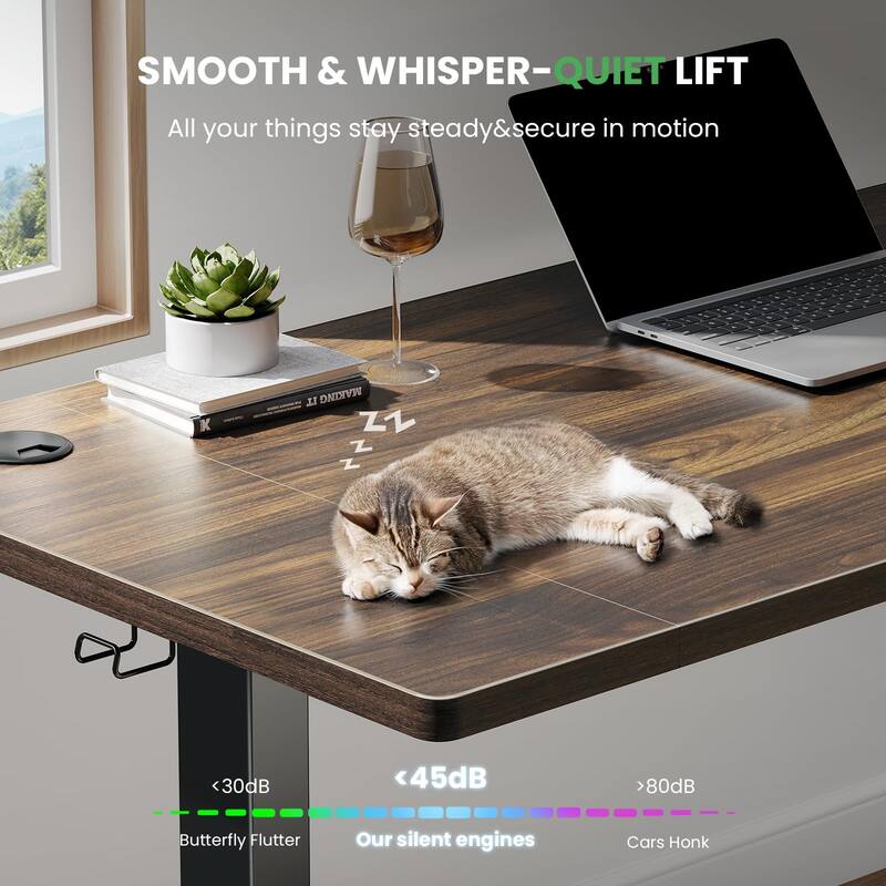 SIAGO 48 x 24 Inch Computer Desk Height Adjustable Electric Sit Stand Up Desk