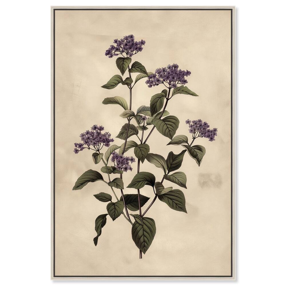 Purple Hydrangea Canvas by Art Remedy