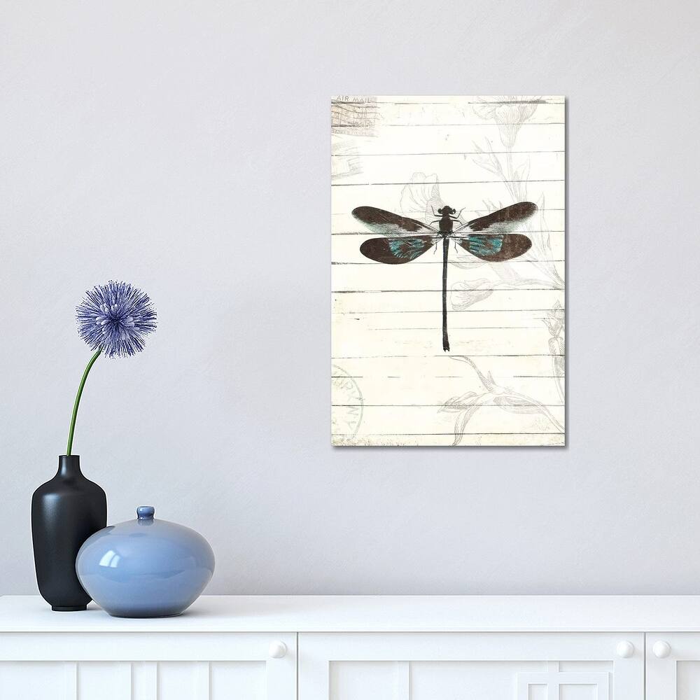 iCanvas "Dragonfly Look II" by Mlli Villa Canvas Print