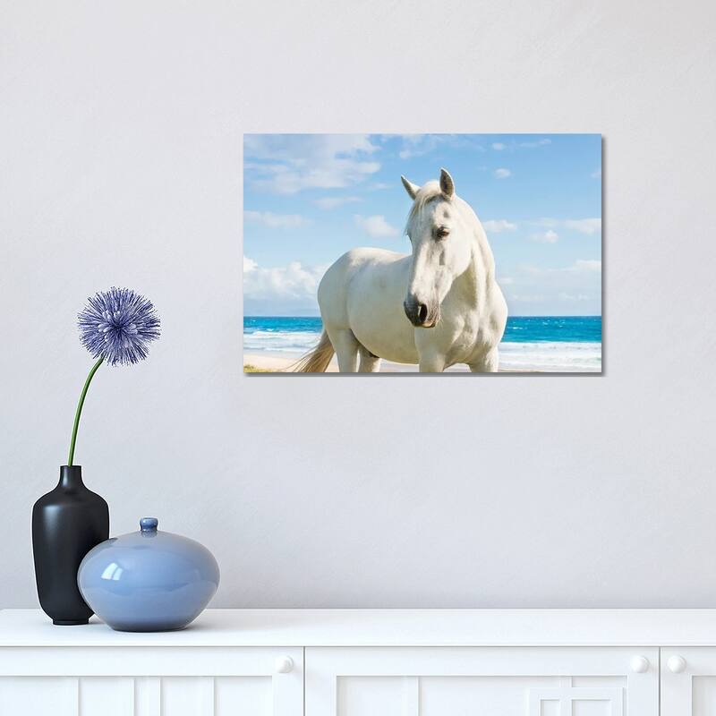 iCanvas "Beach Horse" by Andrew Lever Canvas Print - 12x18x1.5