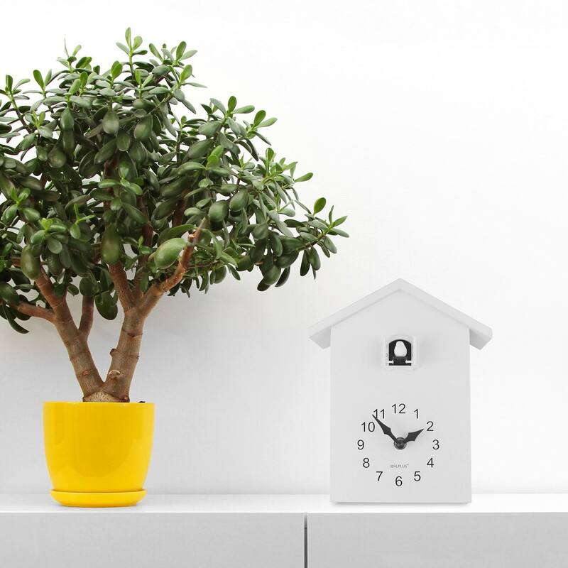 Walplus White Minimalist Cuckoo Clock Colorful Window 4 Changeable Birds