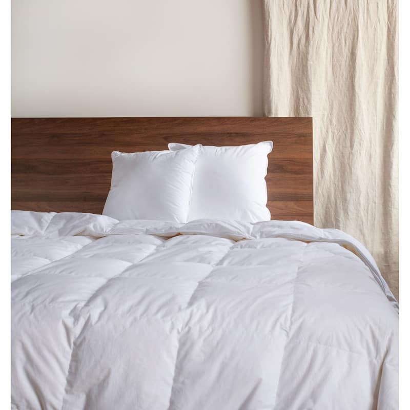 2 Pack Down Alternative Throw Pillow Insert by BOKSER HOME - Pillow Inserts - 20" x 20" - Set of 2